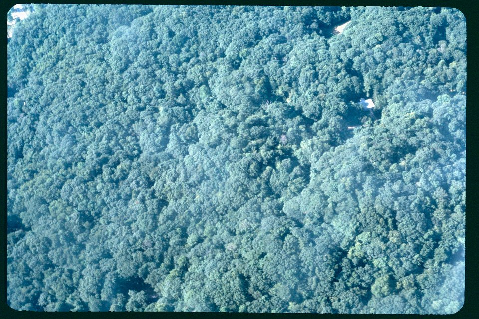 Aerial 1982 -5